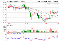 天齊鋰業(yè)：擔(dān)當(dāng)中國(guó)鋰資源與基礎(chǔ)鋰鹽的整合者