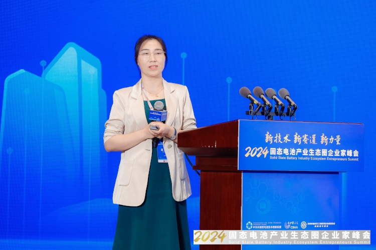 諾德股份丁瑜：開發(fā)固態(tài)電池集流體產(chǎn)品 彌補固態(tài)電解質(zhì)缺陷