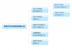 成都天齊實(shí)業(yè)集團(tuán)有限公司