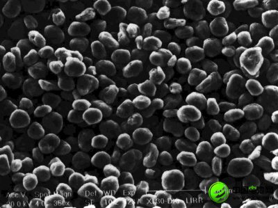 打造中國“石墨產業之都”的領軍人