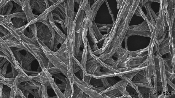 美國(guó)馬里蘭大學(xué)研制出木質(zhì)電池