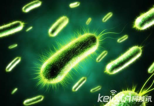 日本研發微生物燃料電池技術 或為可再生能源