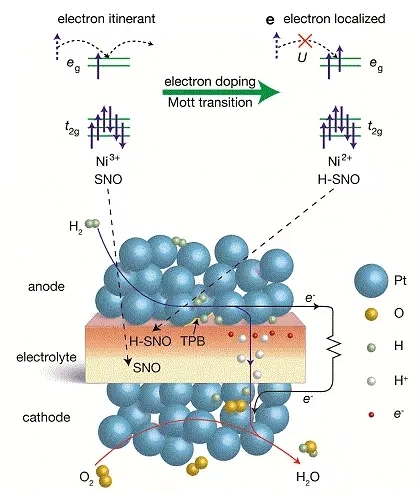 “強關(guān)聯(lián)材料燃料電池”是一種怎樣的黑科技?
