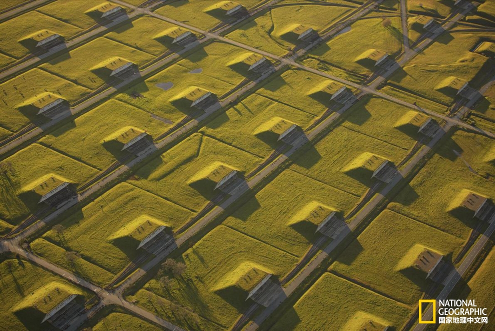 藝術感十足？新能源也可以美出新花樣！pic