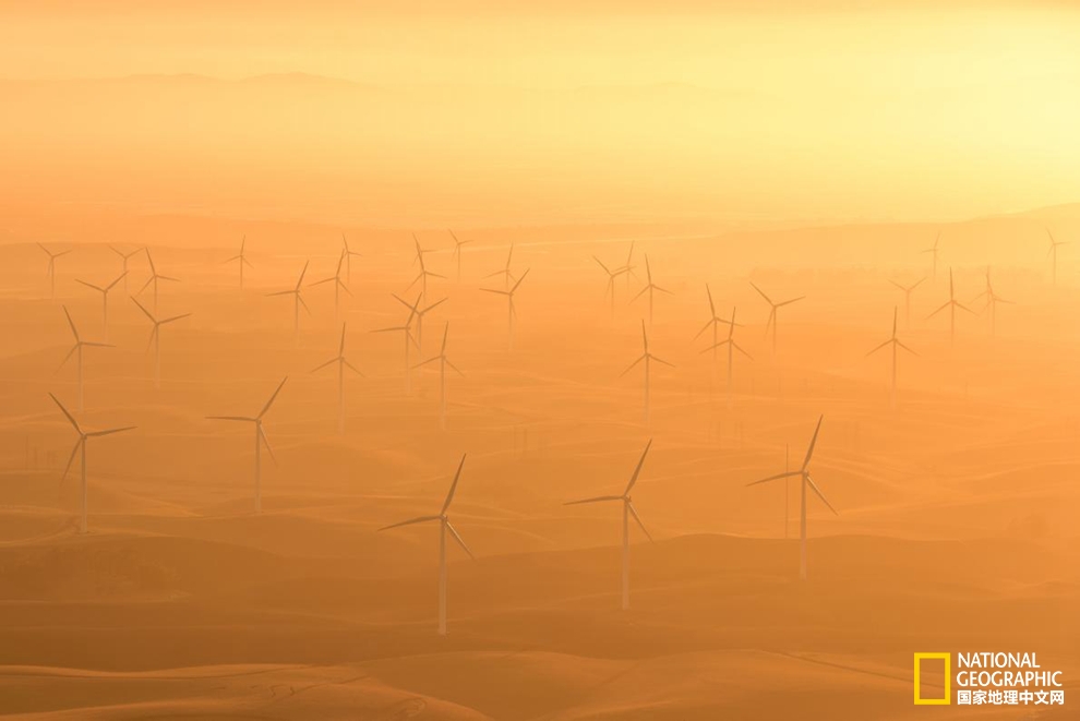 藝術感十足？新能源也可以美出新花樣！pic