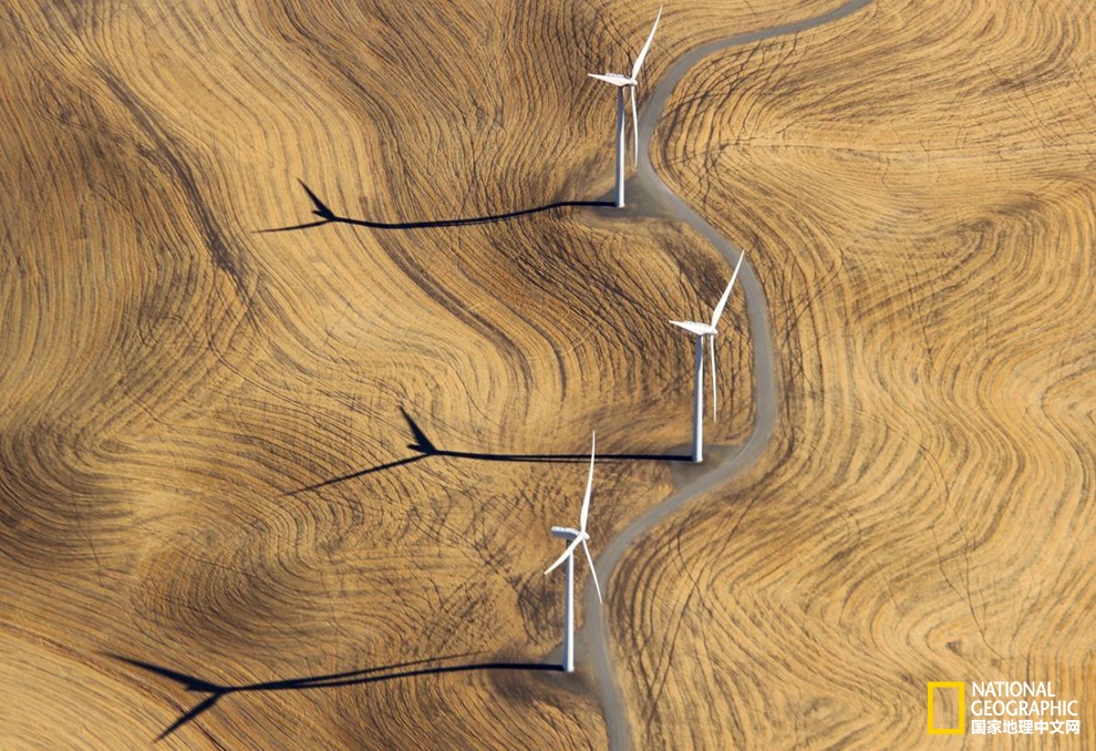 藝術感十足？新能源也可以美出新花樣！pic