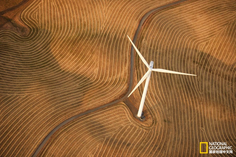 藝術感十足？新能源也可以美出新花樣！pic