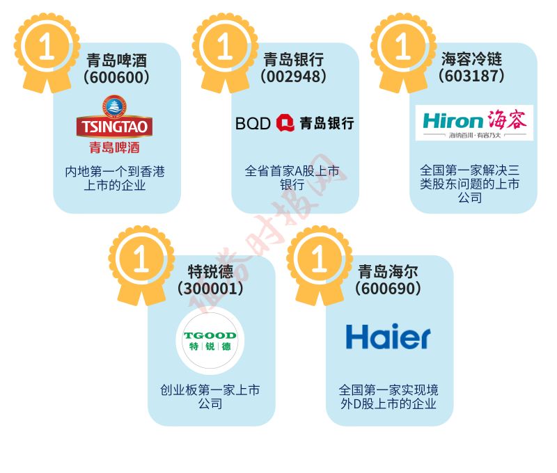 上市公司 上市公司