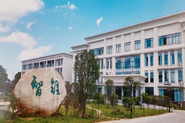 贛鋒鋰業(yè)關(guān)聯(lián)公司掛牌新三板 主營磷酸鐵鋰正極材料