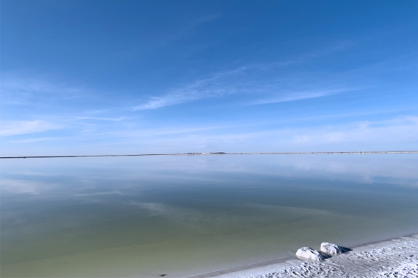 碳酸鋰拍賣遇冷！為何半年火速“失寵”？