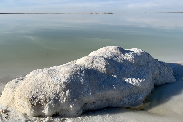 電池級碳酸鋰十連漲！兩天上漲逾3萬元/噸！工業(yè)級拍賣價超24萬元/噸