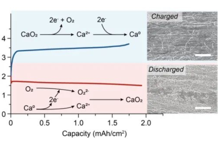 可以“穿”在身上?我國科學(xué)家研發(fā)出室溫下可充鈣-氧電池