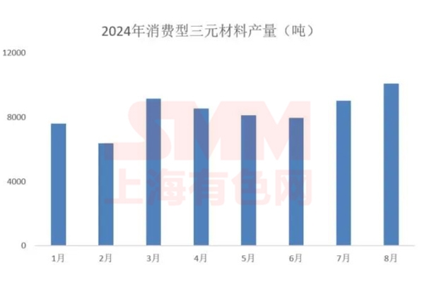 量價背離!2024下半年三元小動力市場分析