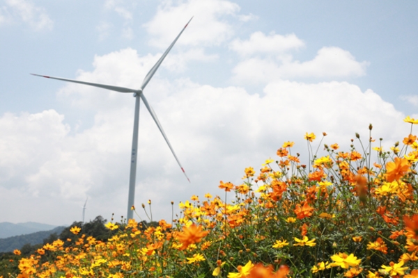 注冊資本1億元！中廣核風電等投資成立新能源公司