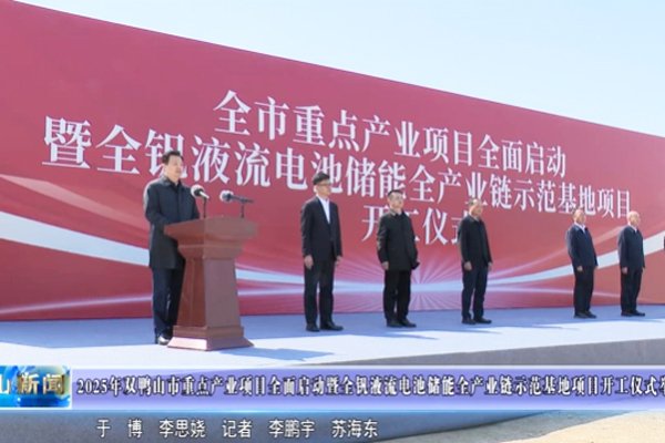 35億元!黑龍江雙鴨山一電池項目開工