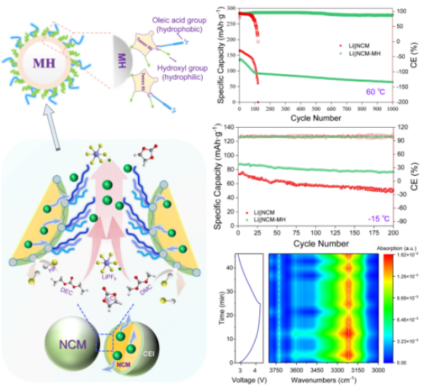 烷基鏈搖曳機理示意及電池長循環(huán)性能對比 圖片來源：中國科學(xué)院青海鹽湖研究所