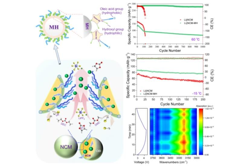 提升寬溫域性能!中科院鎂基鋰電池研究獲新進展