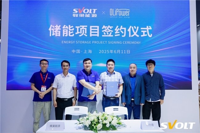 熱復合短刀備受青睞，蜂巢能源SNEC展再度斬獲2.1GWh儲能訂單！