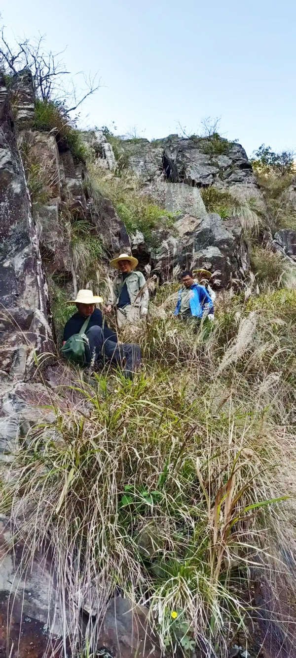 雞腳山礦區工作現場 圖片來源:湖南日報 雞腳山礦區工作現場 圖片來源:湖南日報
