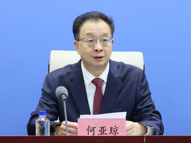 工業和信息化部消費品工業司司長 何亞瓊