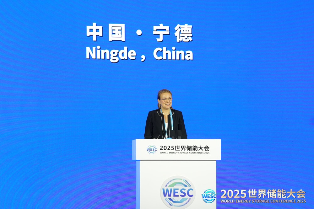 國(guó)際可再生能源署發(fā)布全球首份儲(chǔ)能專(zhuān)題報(bào)告完整版 寧德時(shí)代深度參與