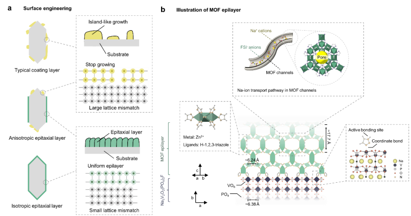 圖 2｜表面工程與Na?傳輸機(jī)制示意圖
