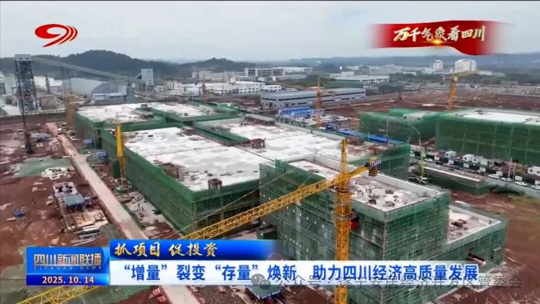 60億元!四川遂寧一鋰電池生產項目將于今年年底投產 60億元!四川遂寧一鋰電池生產項目將于今年年底投產