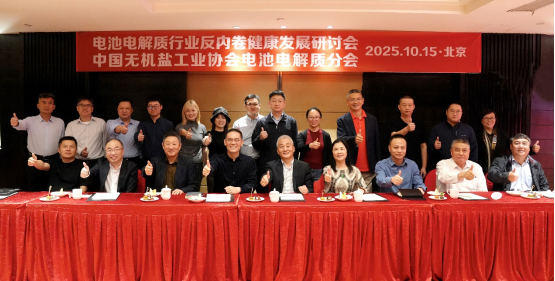 破局“內卷”!電池電解質行業健康發展研討會發布共同倡議 破局“內卷”!電池電解質行業健康發展研討會發布共同倡議