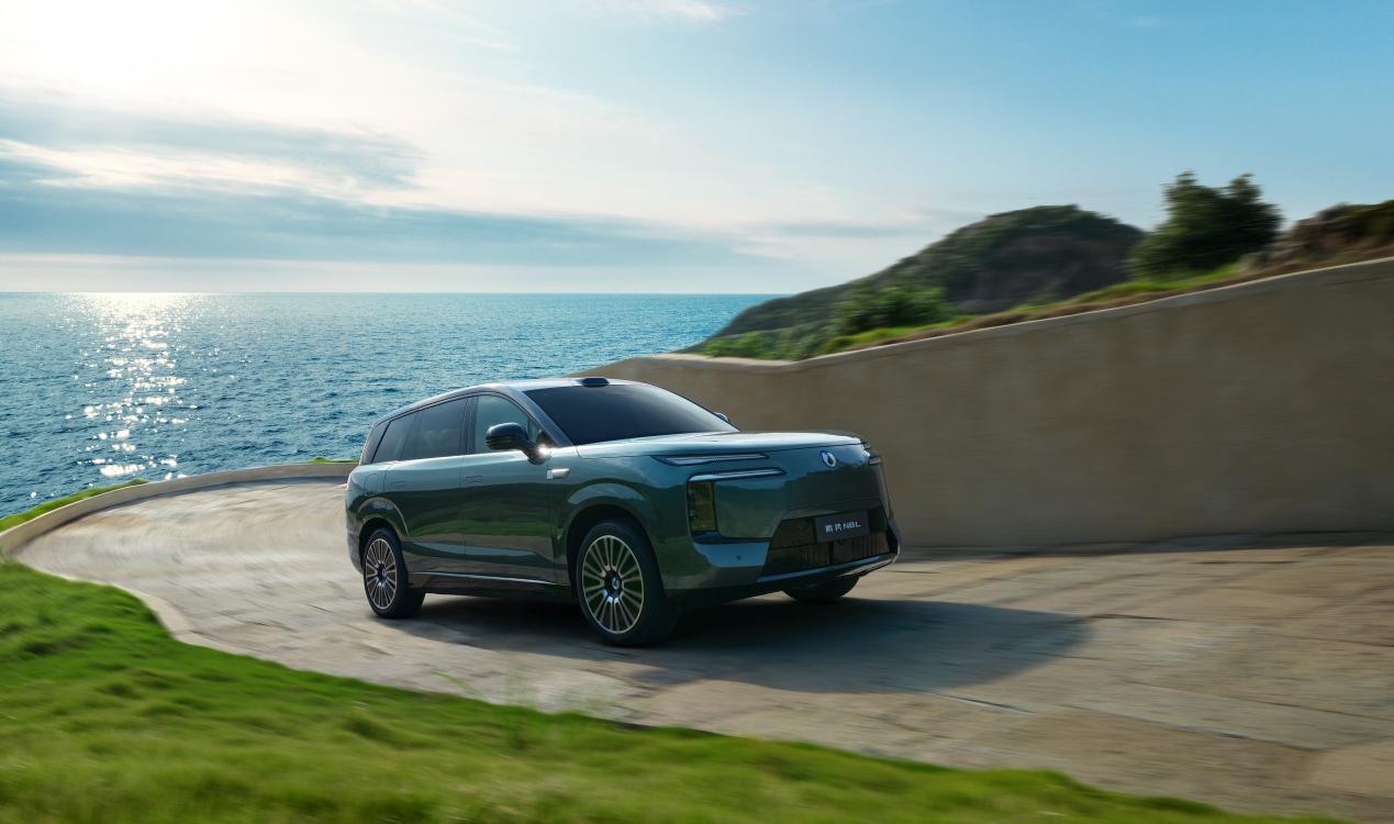 騰勢(shì)N8L正式上市