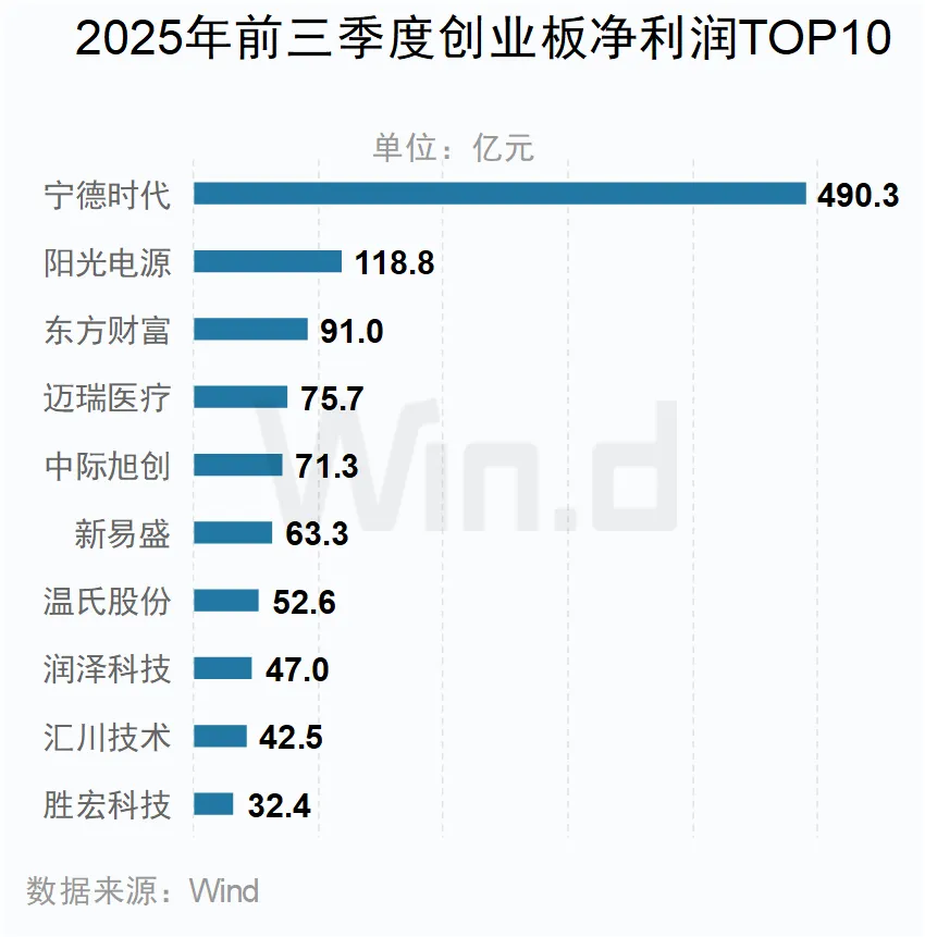 2025年前三季度創(chuàng)業(yè)板凈利潤TOP10公司