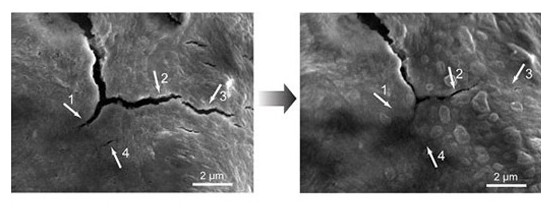 自我修復電池或將用于電動汽車 先進技術助力環保
