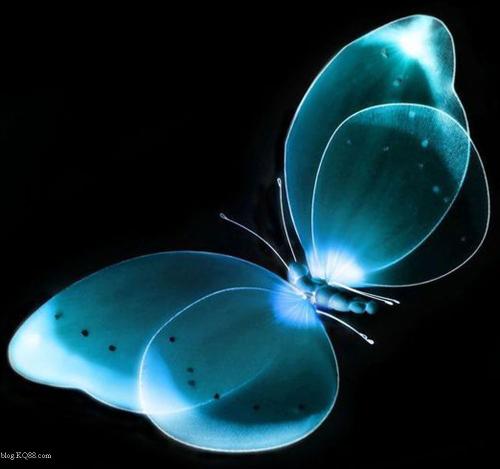 “蝴蝶效應”顯現：特斯拉風暴引發投資連環效應