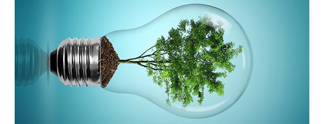 科學家研發生物燃料電池 效率近乎100%