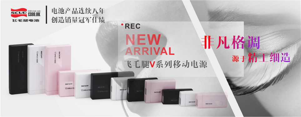 飛毛腿電池獲首屆（2013-2014）移動(dòng)電源行業(yè)年度品牌獎(jiǎng)