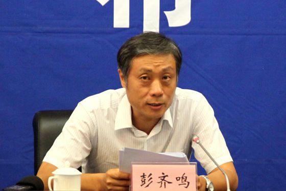 國土資源部地質勘查司司長彭齊鳴