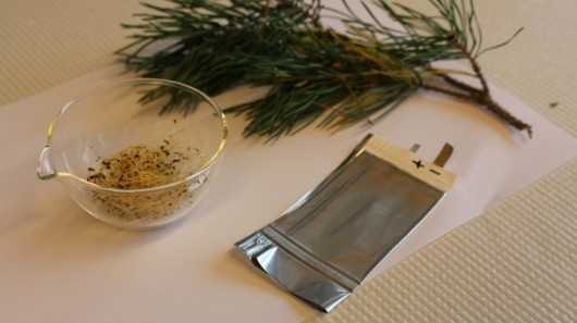 廢電池回歸:苜蓿種子和樹脂混合打造環保可再生電池 廢電池回歸:苜蓿種子和樹脂混合打造環保可再生電池