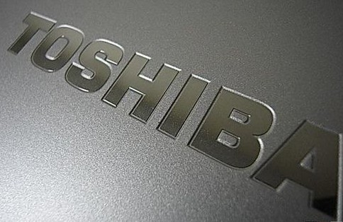 東芝計劃于今年內(nèi)結(jié)束電子書閱讀器的制造、銷售業(yè)務(wù)，至于電子書的下載服務(wù)則將轉(zhuǎn)移至其他公司。