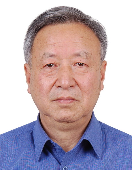 國(guó)家863“節(jié)能與新能源汽車”重大項(xiàng)目監(jiān)理咨詢專家組組長(zhǎng)王秉剛