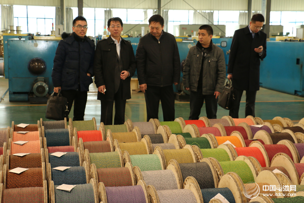 中國(guó)電池網(wǎng)率團(tuán)參觀考察安徽天康集團(tuán)鋰電新能源