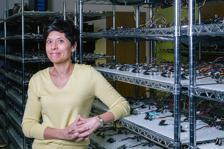 1426488690338700.jpg 1426488690338700.jpg