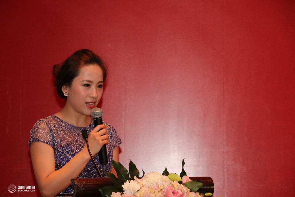 中國電池網主持人丁潔 中國電池網主持人丁潔