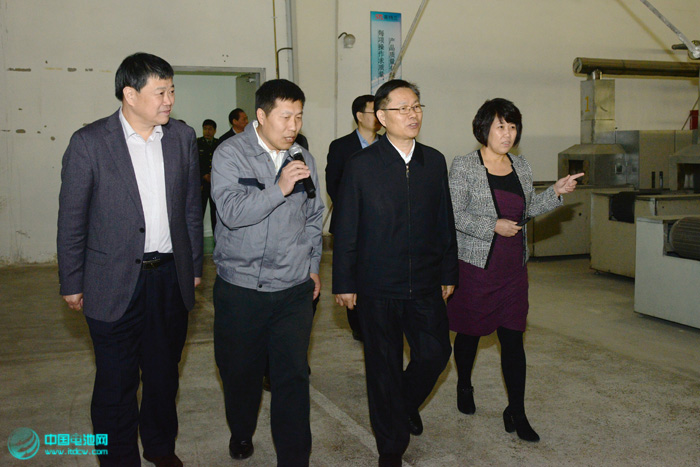 天津濱海新區區委書記宗國英視察天津斯特蘭 天津濱海新區區委書記宗國英視察天津斯特蘭