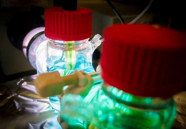 搭配釩液流電池 新型太陽能電池可全天候儲能