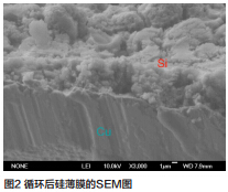 1441007602322574.jpg 10.jpg