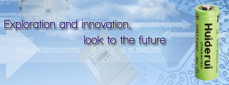 惠州市惠德瑞鋰電科技股份有限公司 惠州市惠德瑞鋰電科技股份有限公司