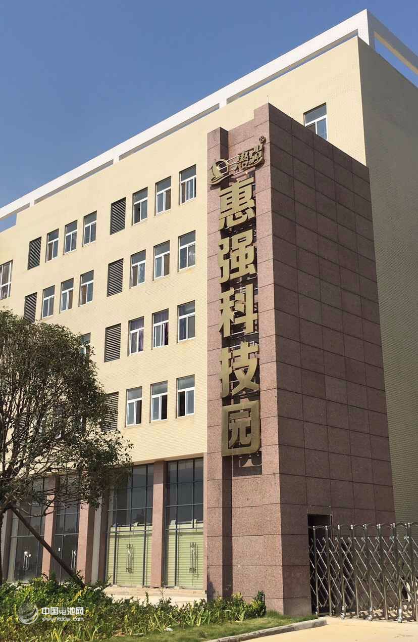 鋰電“達沃斯”組委會學術委員會一行調研惠強新能源