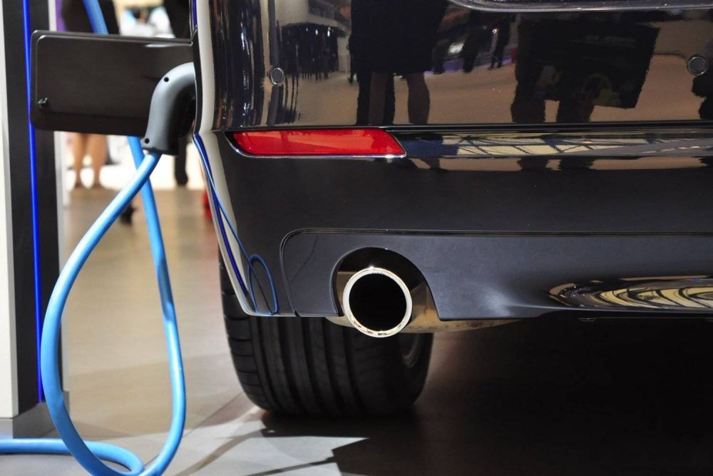 政府補貼逾百億元 誰能從新能源車賺錢？