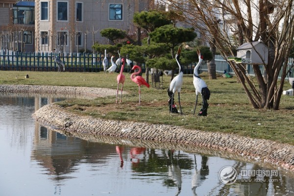 海德新能汽車(chē)廠區(qū)萌寵