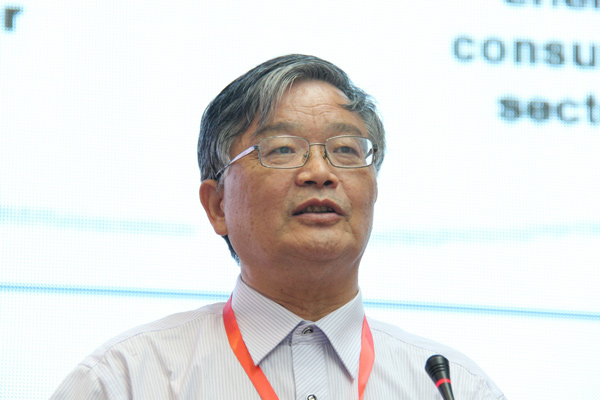 國際氫能協(xié)會副主席毛宗強