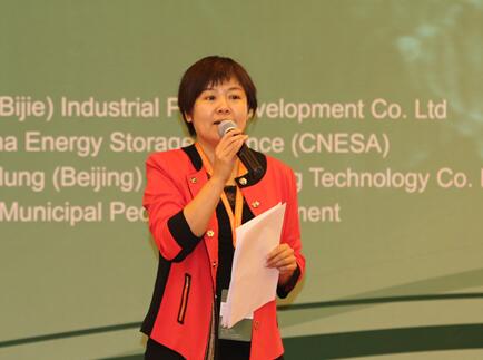 中關村儲能聯盟張靜:光儲模式開啟儲能新紀元 中關村儲能聯盟張靜:光儲模式開啟儲能新紀元